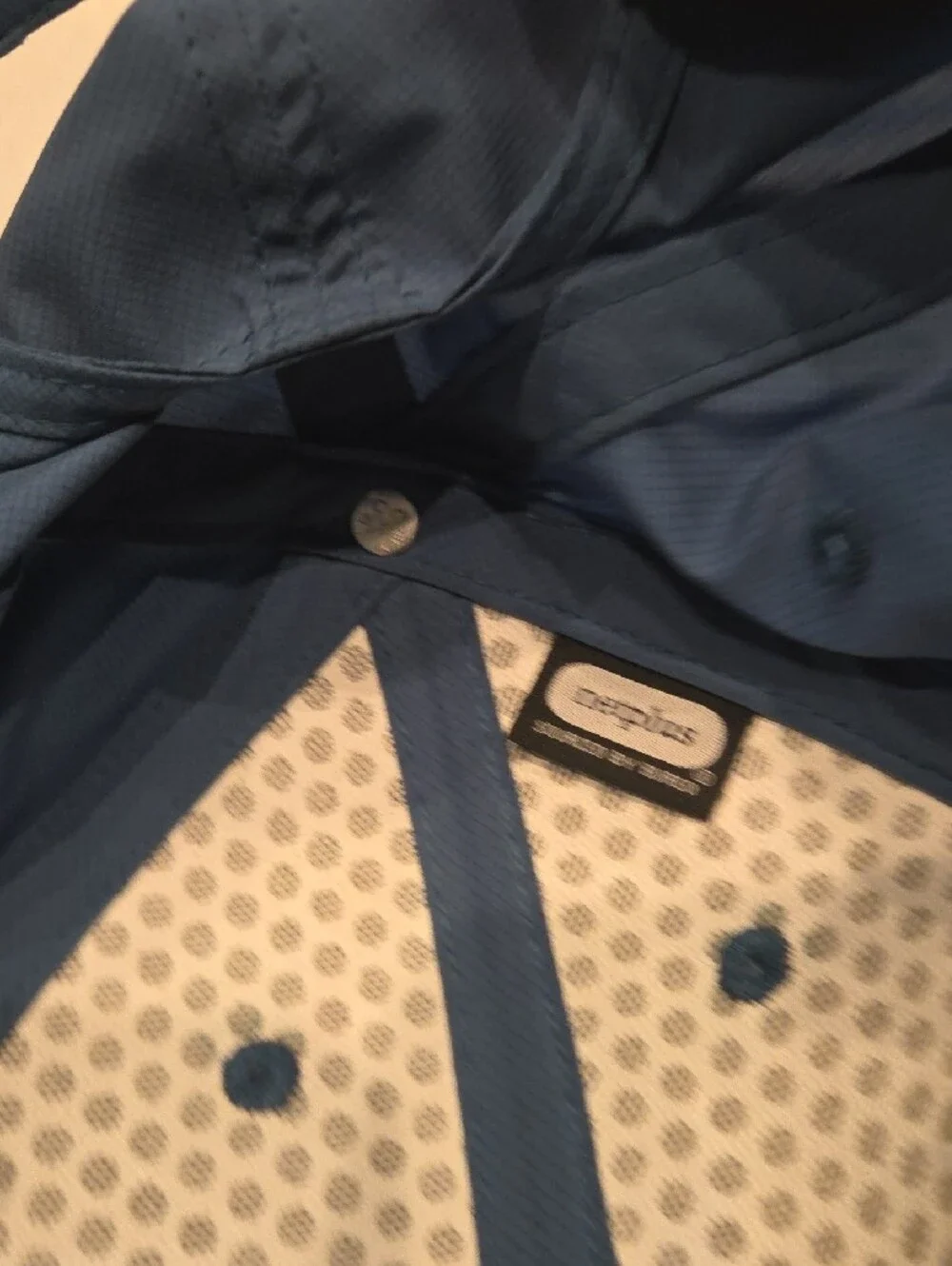 Patagonia Blue Logo Cap